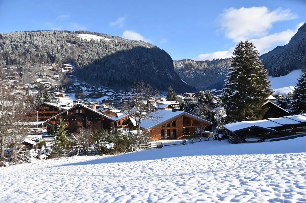 モルジヌ Chalet Les Ecureuilsヴィラ フランス